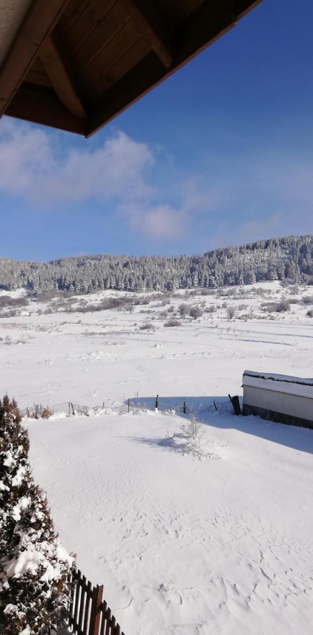 Boutique Hotel The White Pine サモコフ エクステリア 写真