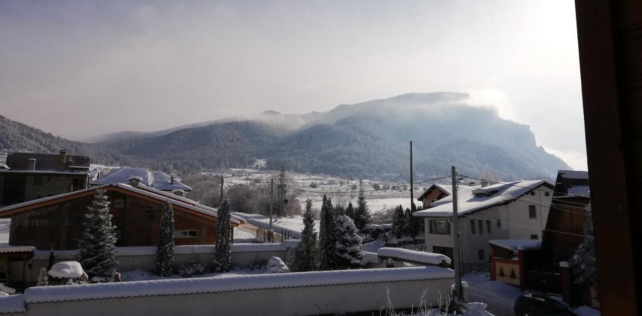 Boutique Hotel The White Pine サモコフ エクステリア 写真