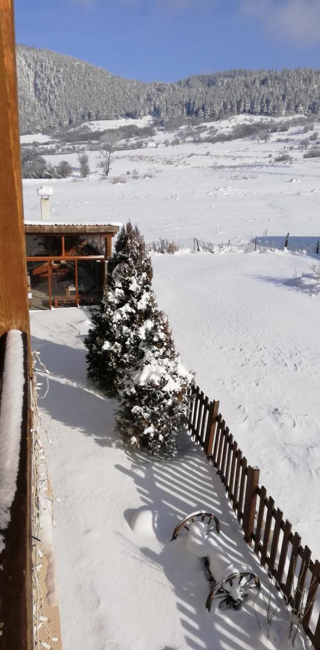 Boutique Hotel The White Pine サモコフ エクステリア 写真
